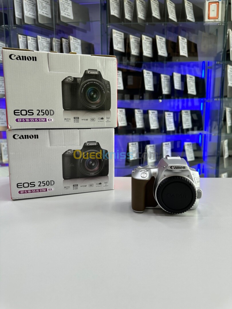 Canon EOS 250D & 18-55mm IS STM 24.1MP UHD 4K GREY EDITION