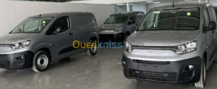 Fiat Doblo 2024 Dynamic