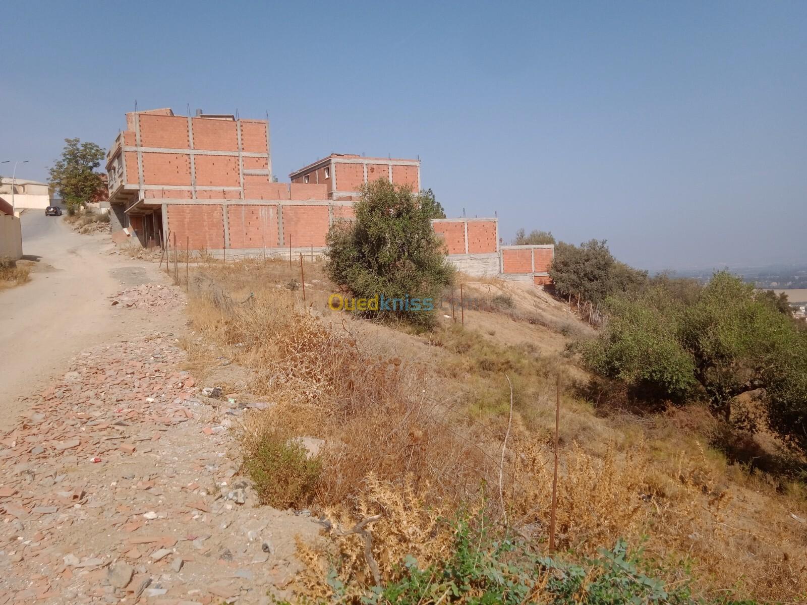 Vente Terrain Blida El affroun