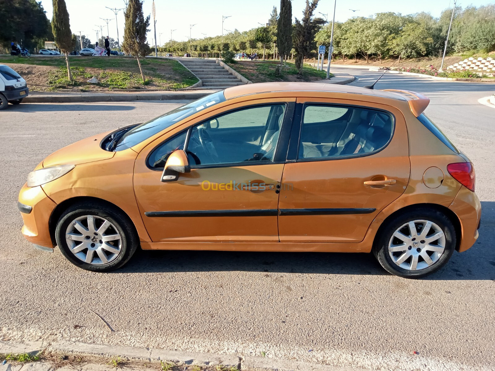 Peugeot 207 2007 207