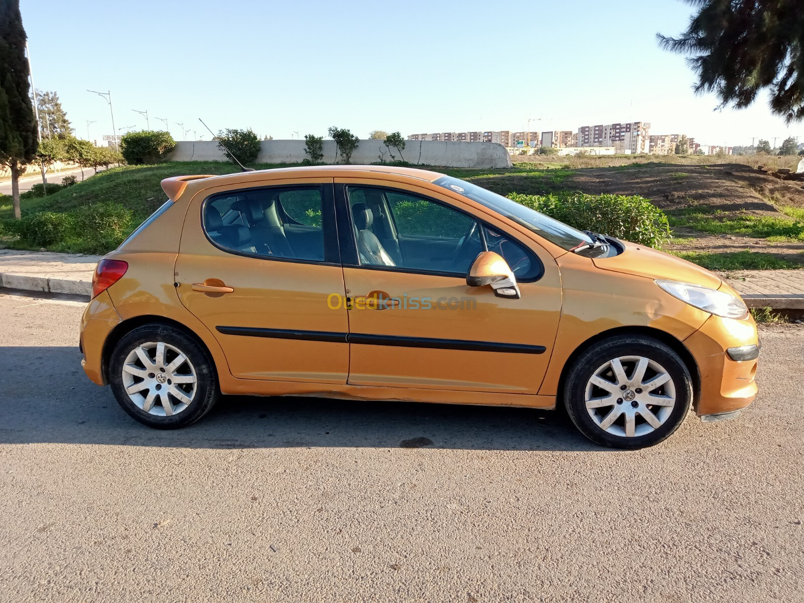 Peugeot 207 2007 207