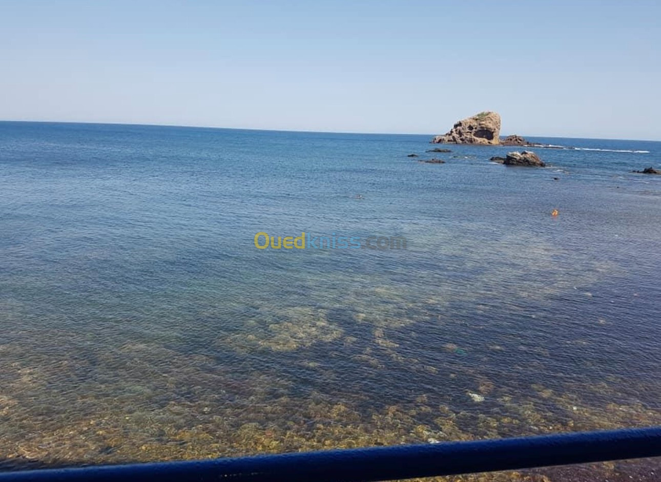 Vente Appartement F3 Tipaza Tipaza