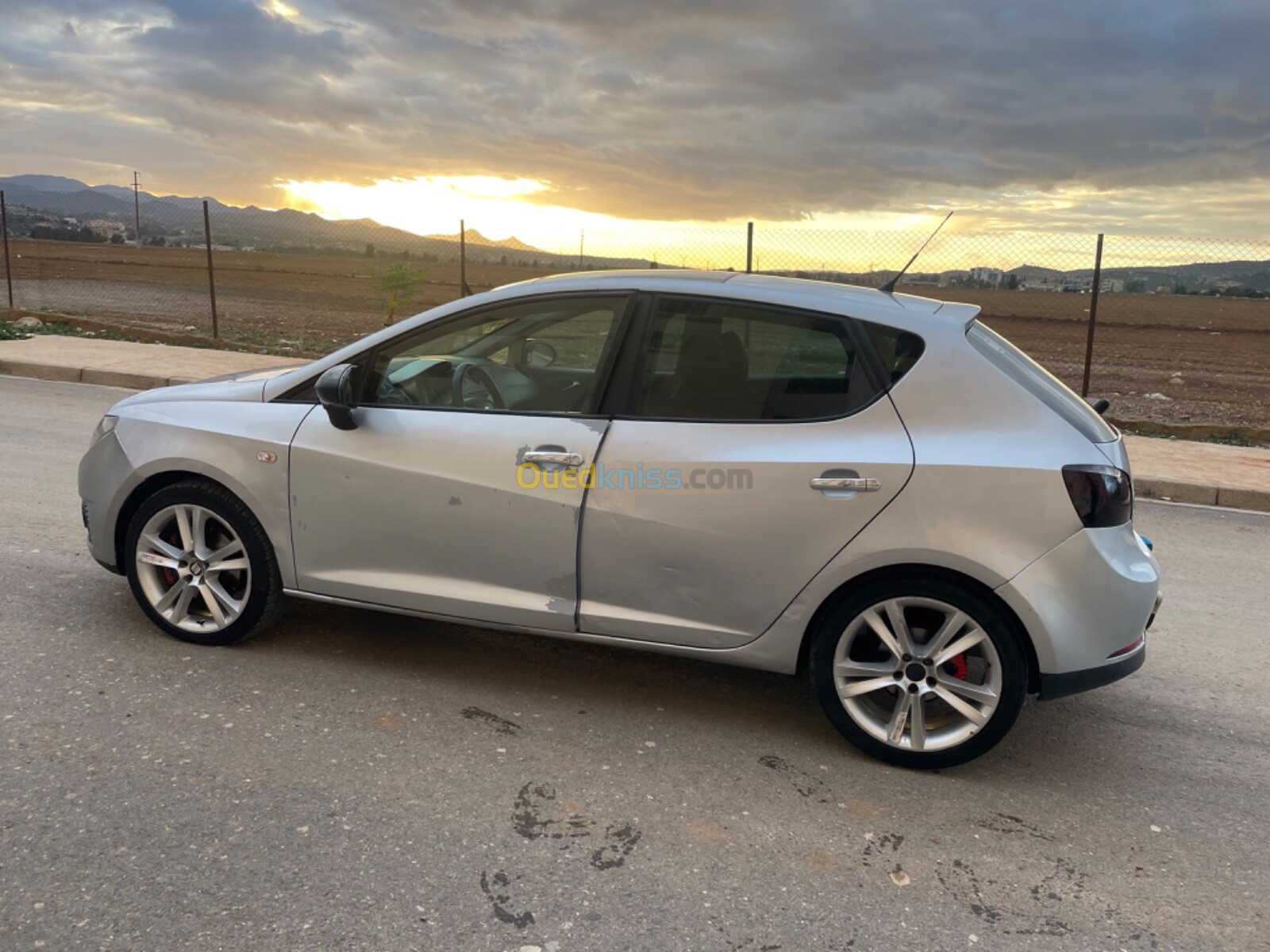 Seat Ibiza 2011 Loca