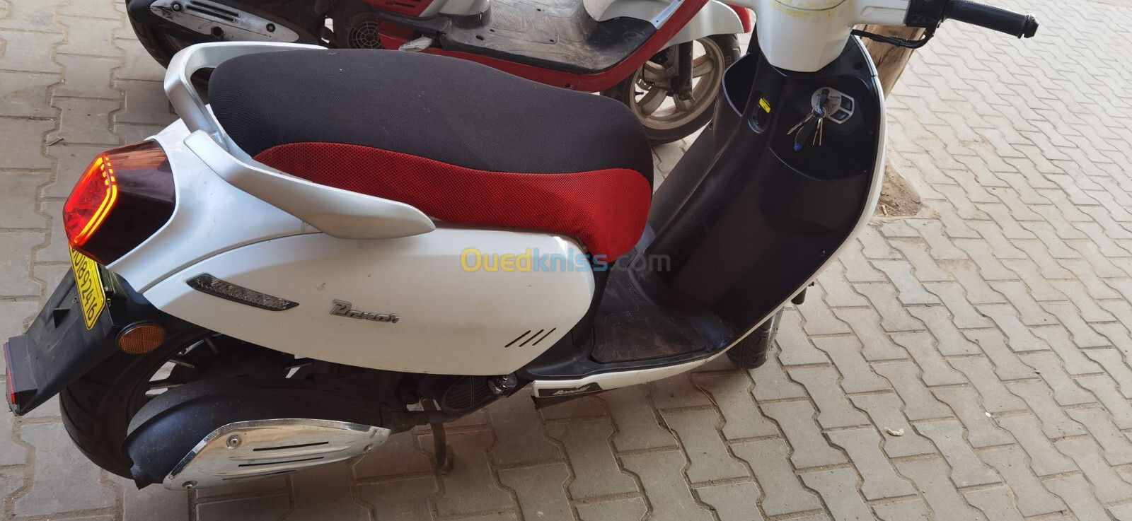 Vms benelli panarea 2024