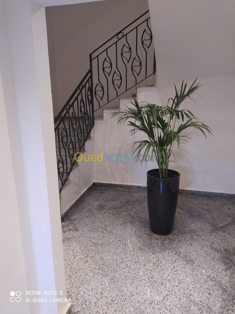 Location Appartement F03 Alger Dely brahim