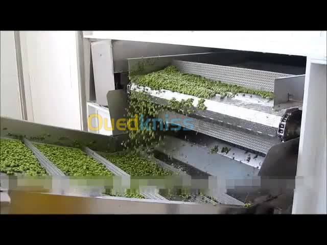 Ligne de transformation des petits pois verts entièrement automatique 