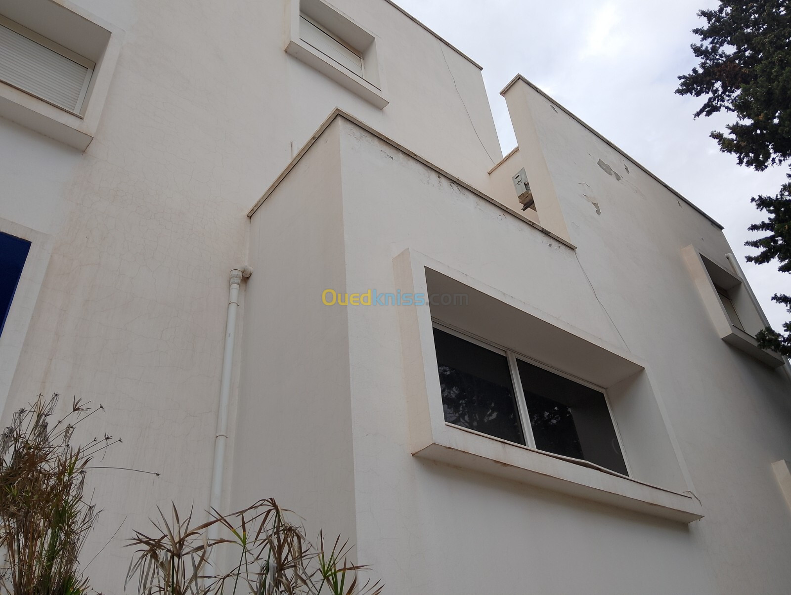 Vente Villa Alger El madania