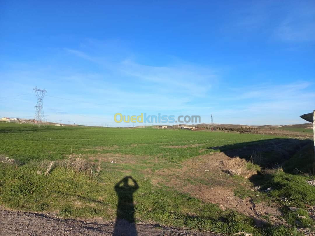 Vente Terrain Agricole Sétif Setif