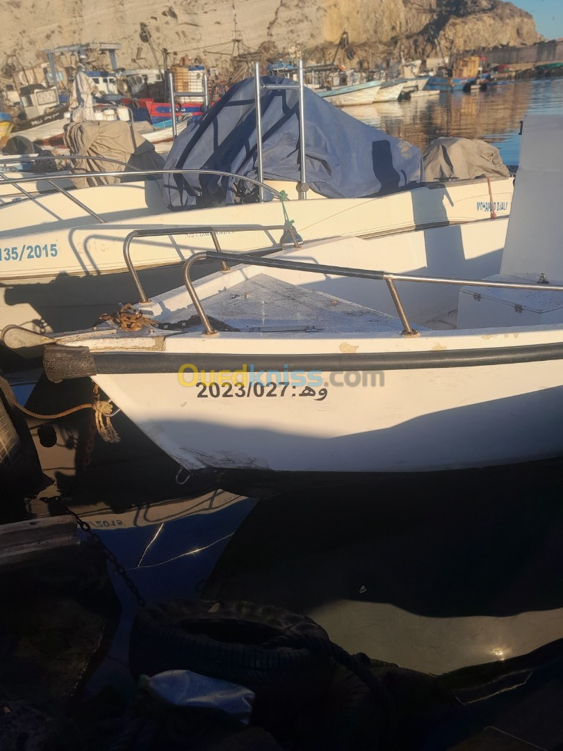 Mercyry Bateau bejaia avec moteur 60 cv mercury 4 temps 2017