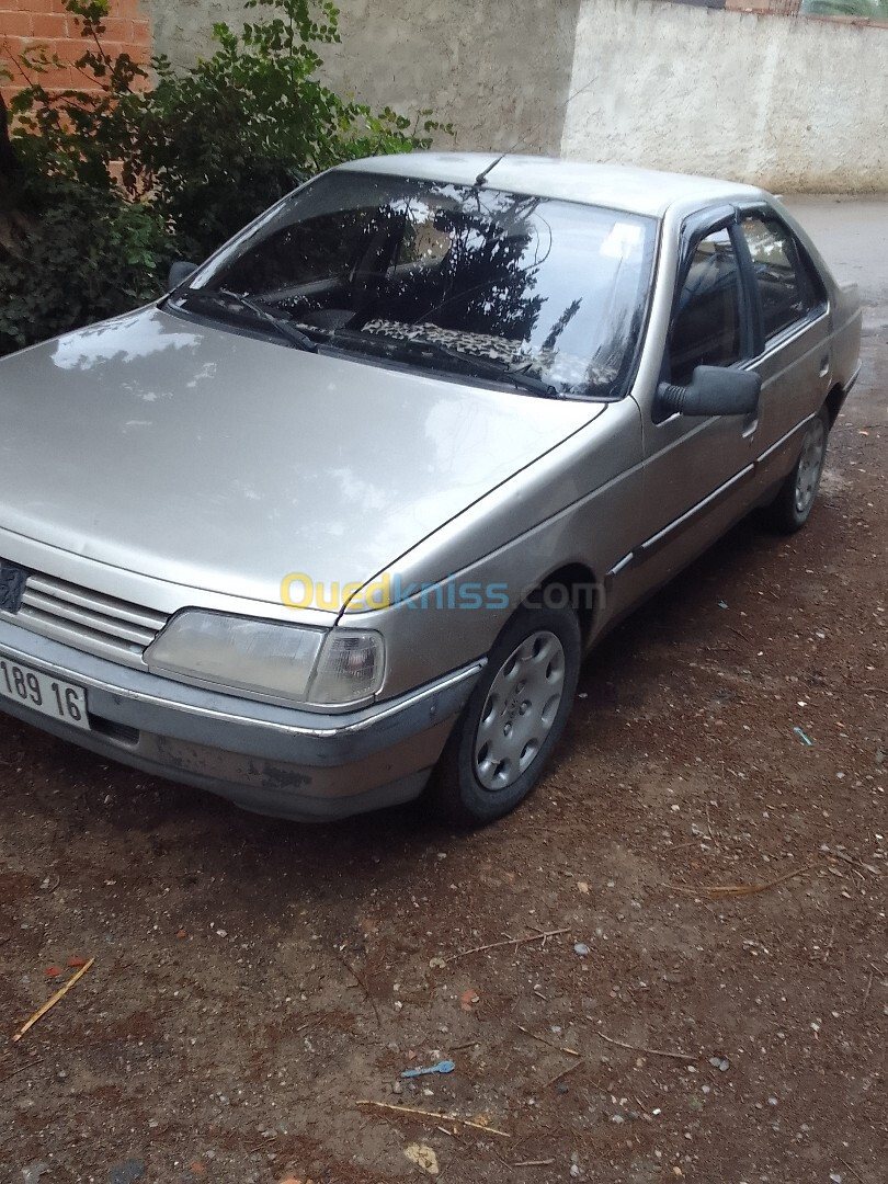 Peugeot 405 1989 405