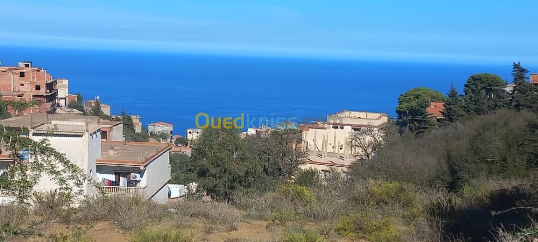 Vente Terrain Alger Bouzareah