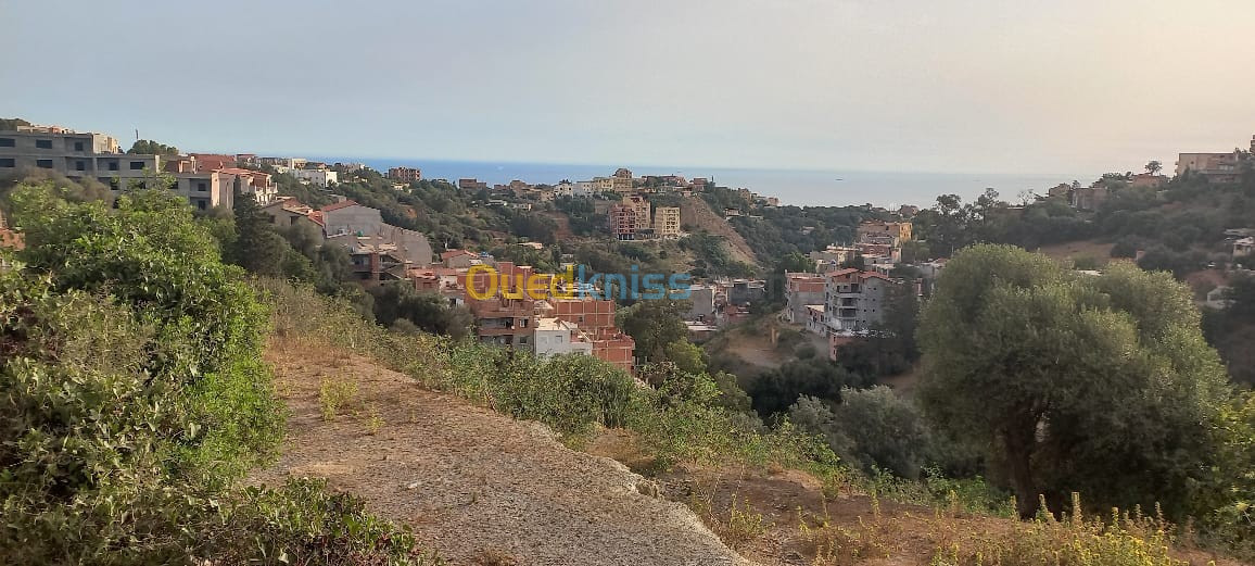 Vente Terrain Alger Bouzareah