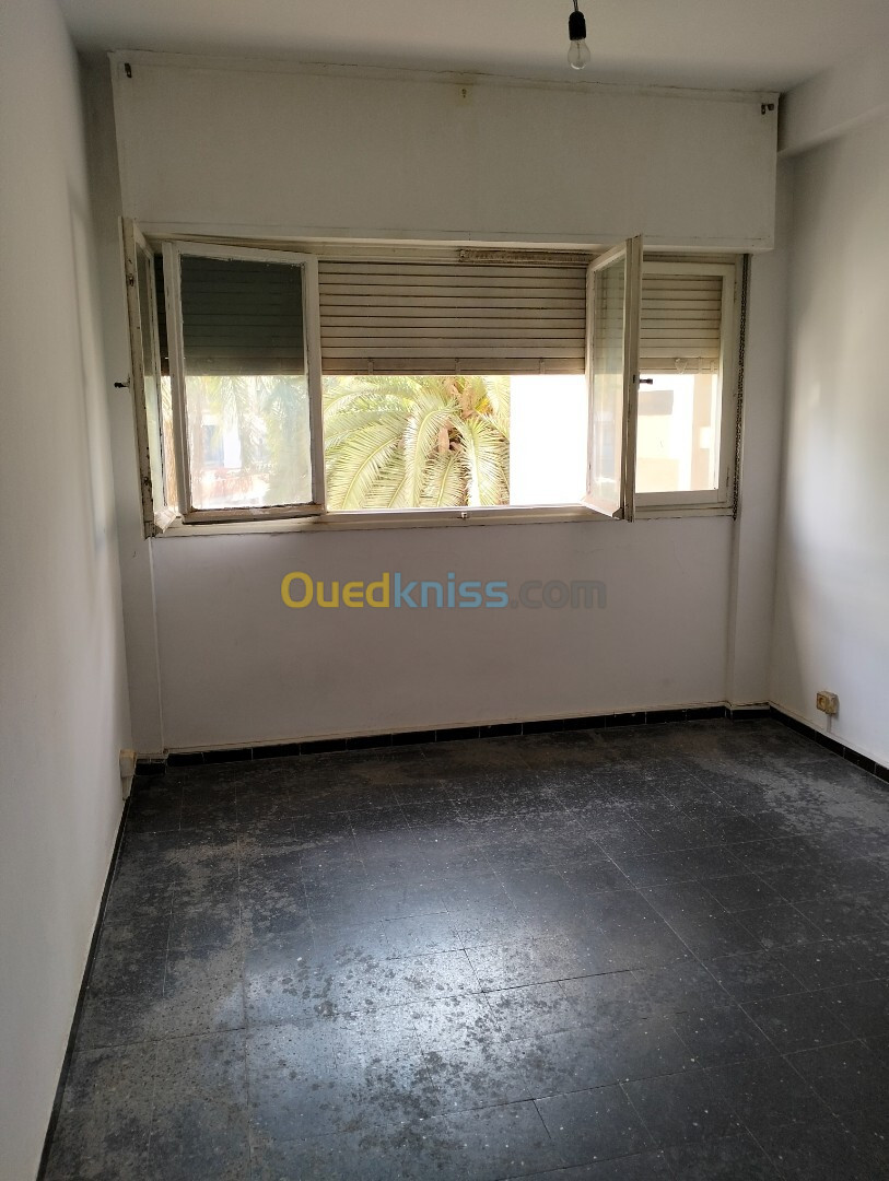 Vente Appartement F3 Alger Chevalley