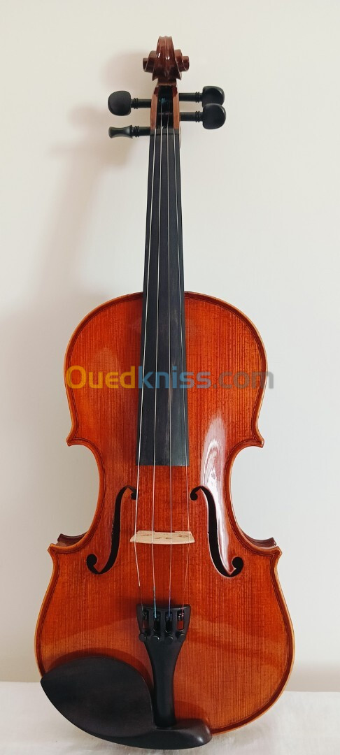 Violon italien fait par luthier giasone Carlo 2007