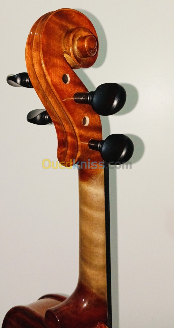 Violon italien fait par luthier giasone Carlo 2007