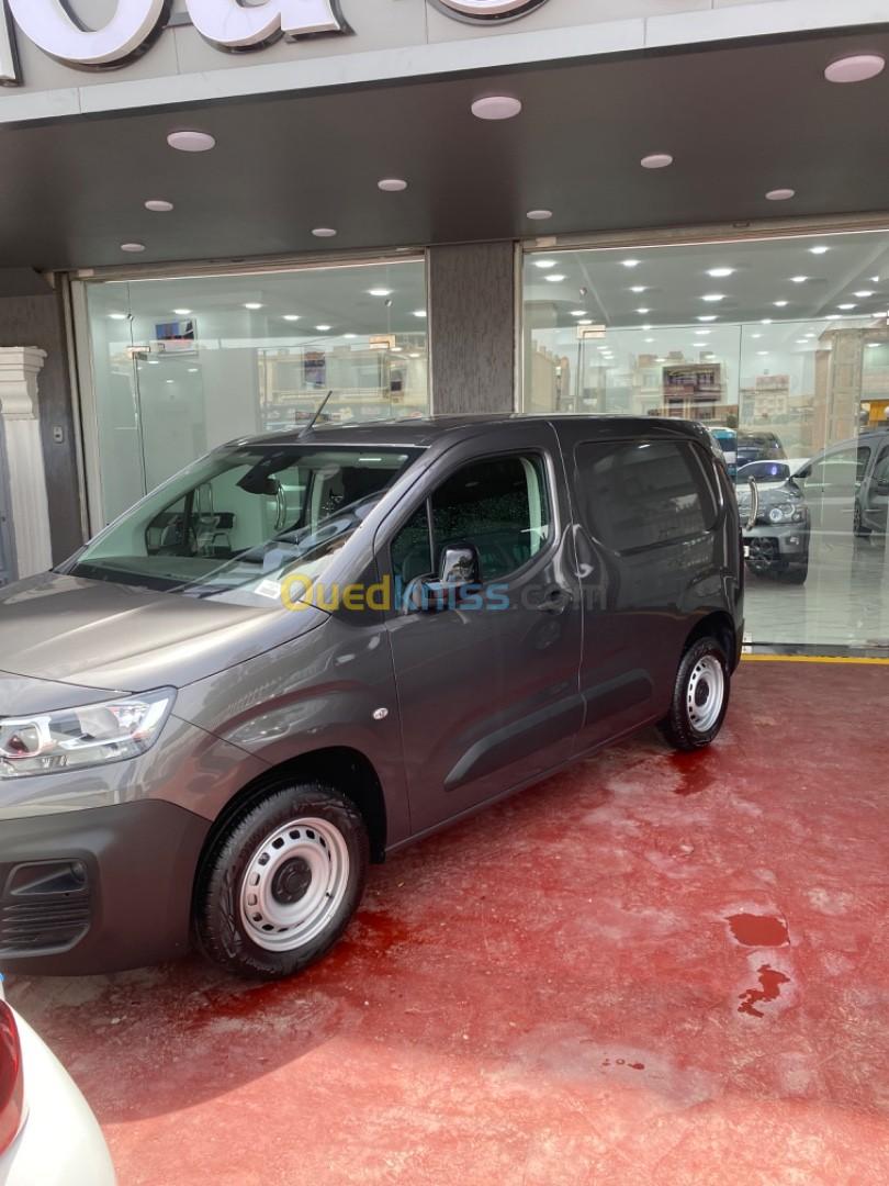 Fiat Doblo 2024 Professional