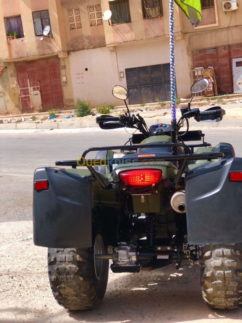 Suzuki Quad suzuki 2017