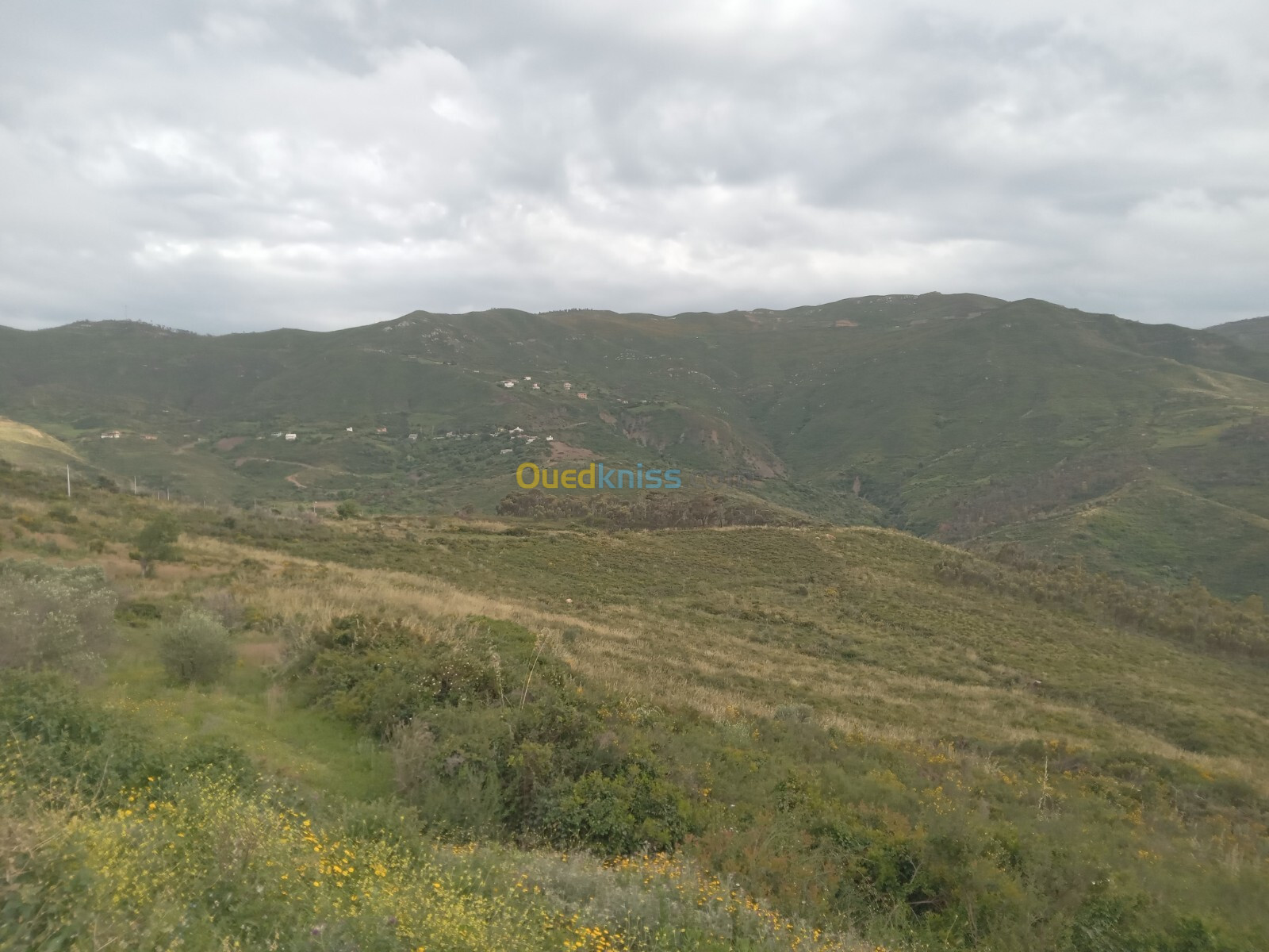 Vente Terrain Tizi Ouzou Azeffoun