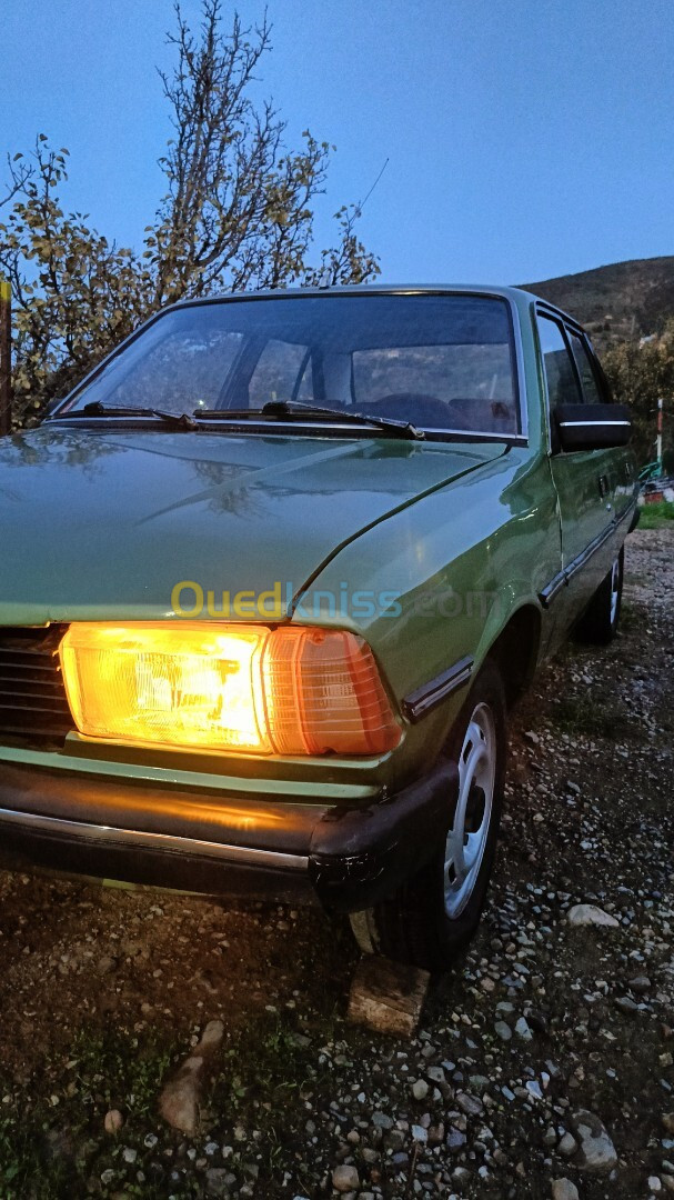 Peugeot 305 1979 305