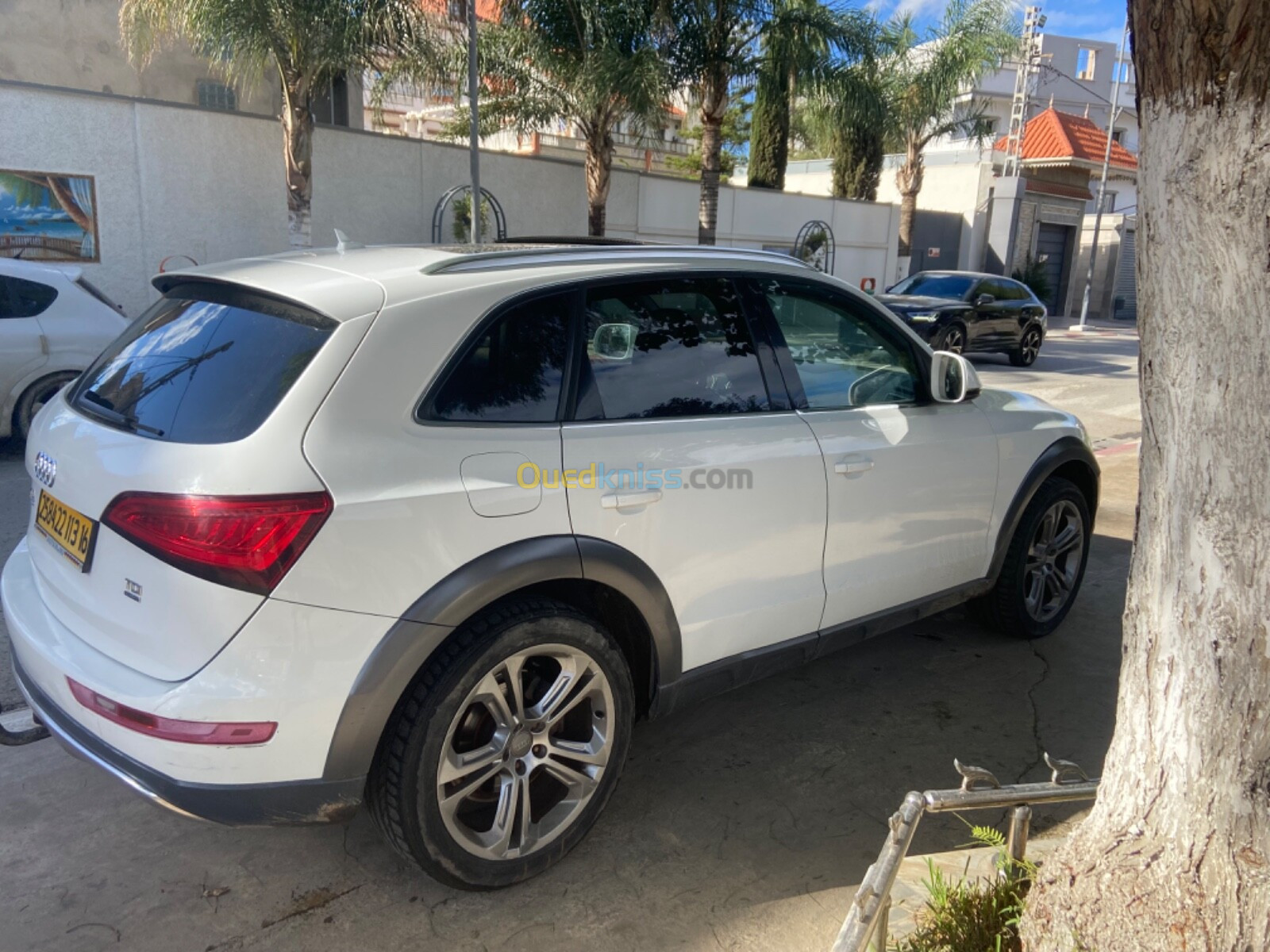 Audi Q5 2013 Off Road