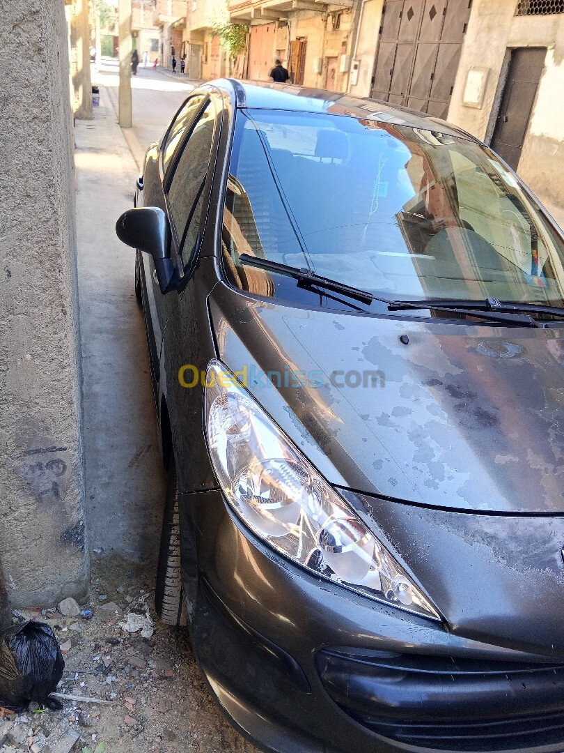 Peugeot 207 2008 207