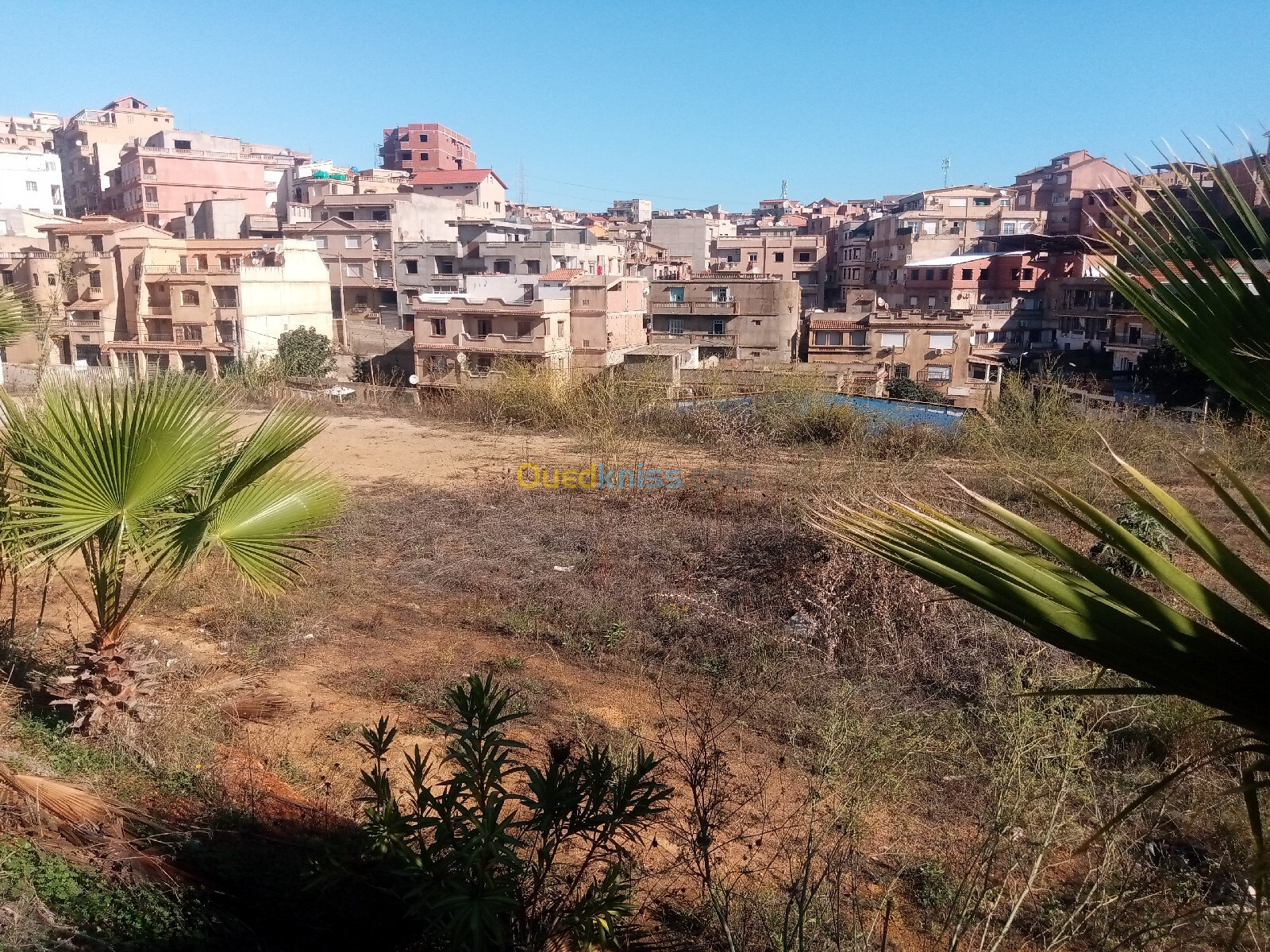 Location Terrain Alger Draria