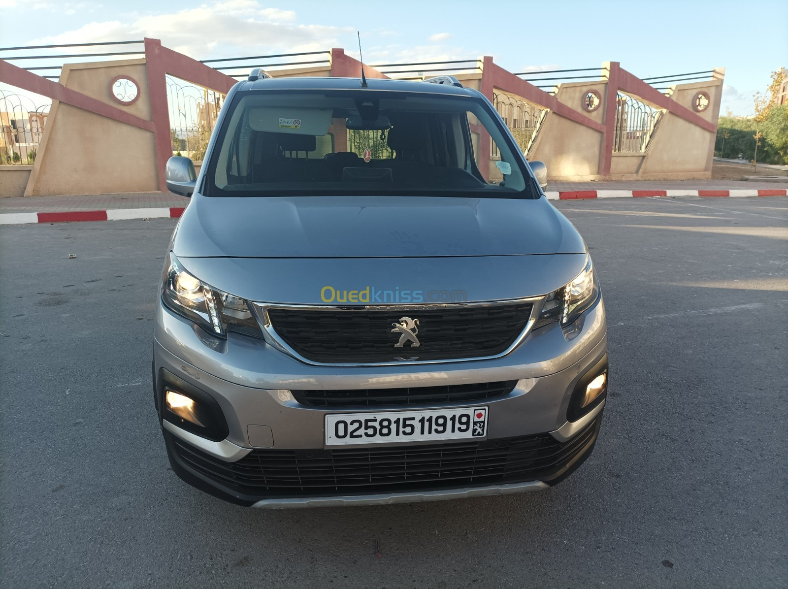 Peugeot Partner 2019 Partner