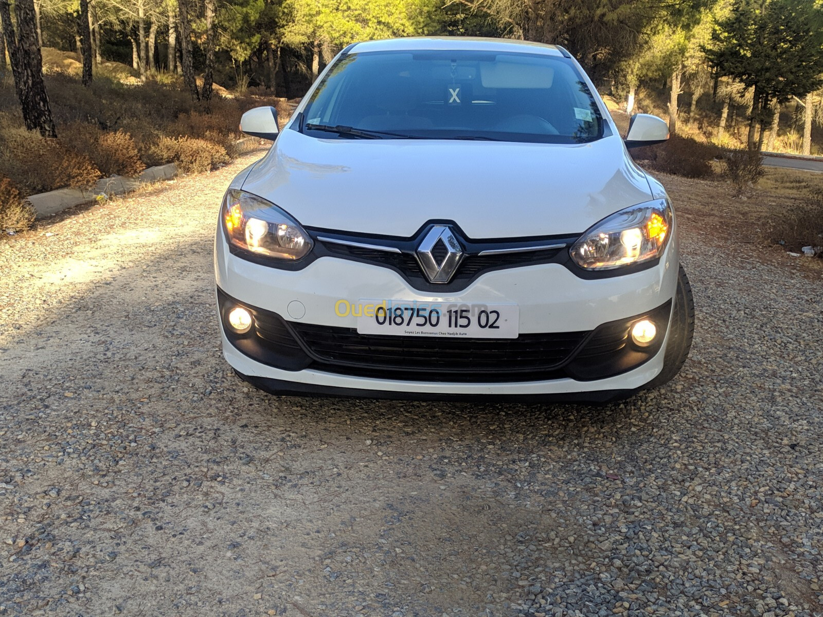 Renault Megane 3 2015 Expression 