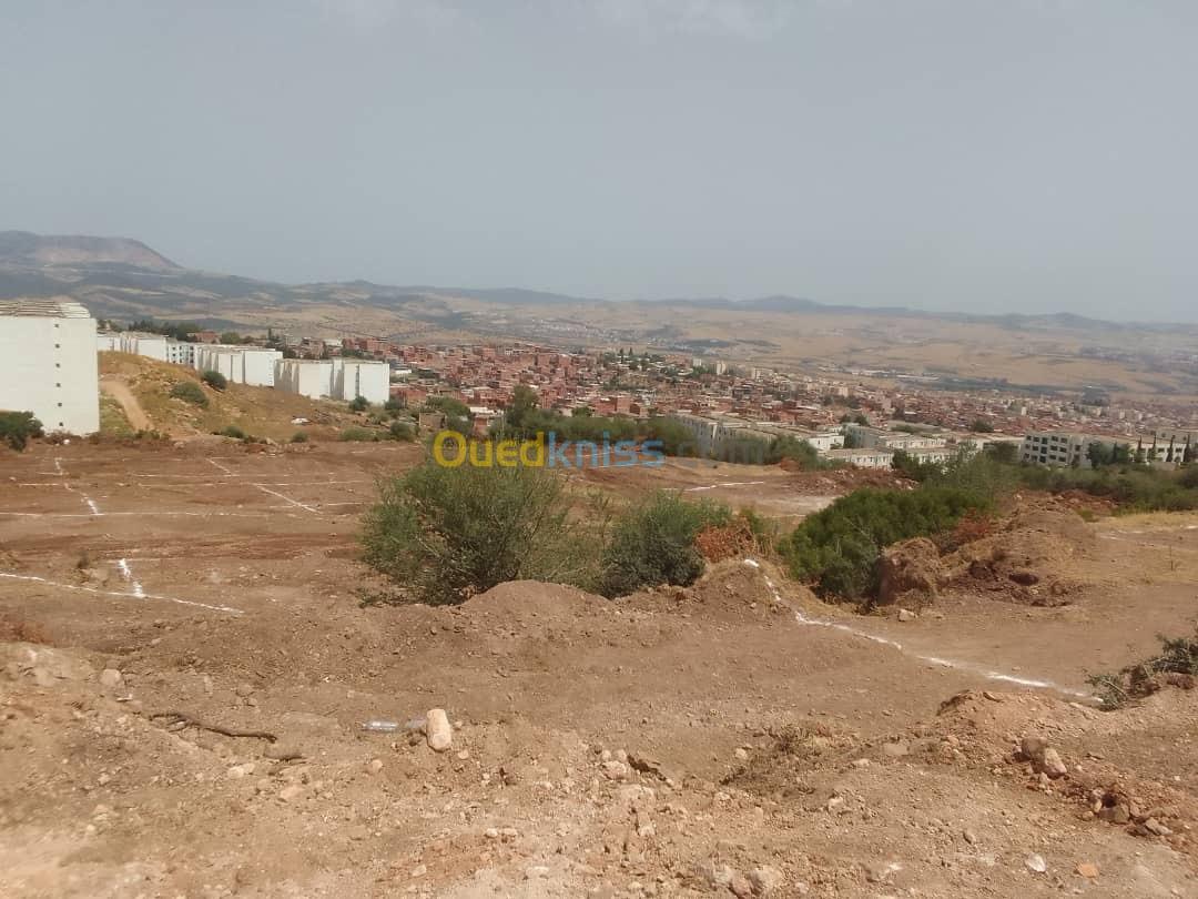 Vente Terrain Guelma Guelma