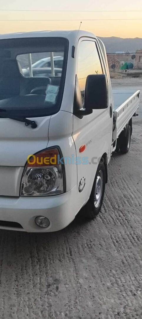 Hyundai H100 2010 Hyondai