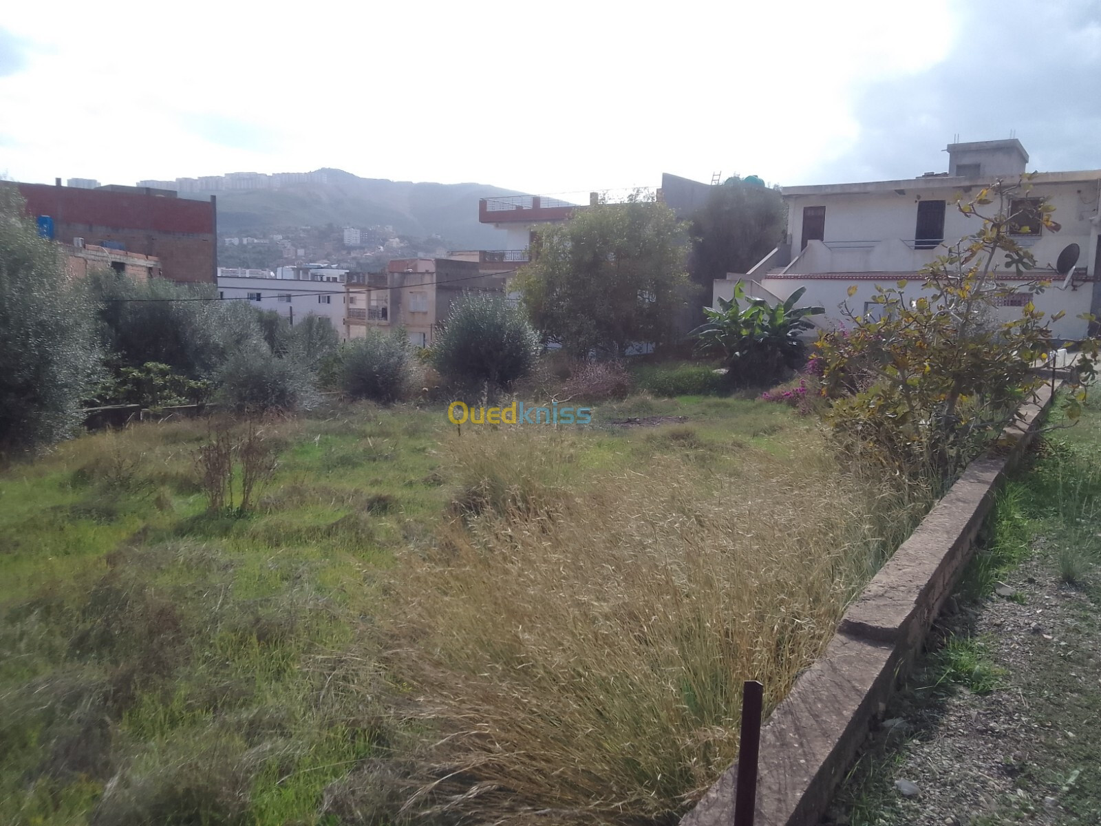 Vente Terrain Béjaïa Bejaia