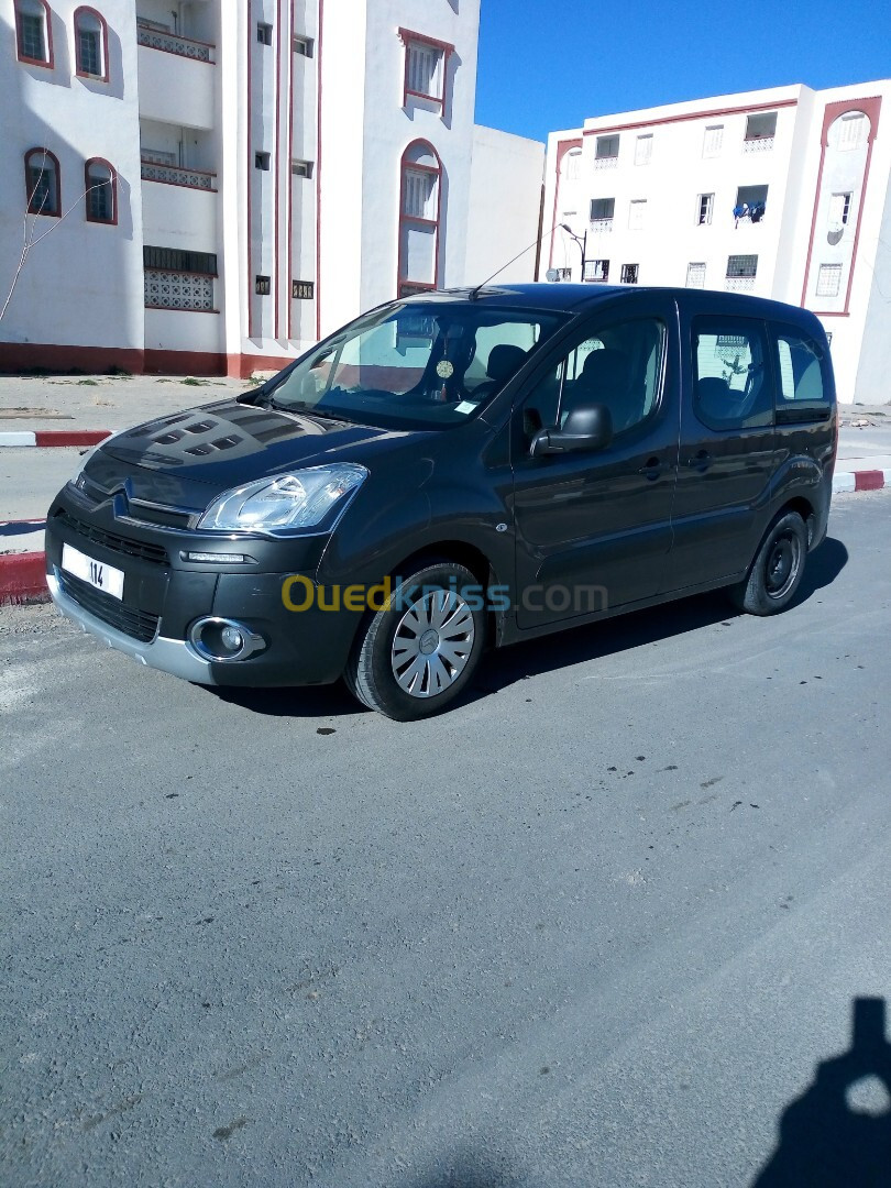 Citroen Berlingo Multispace 2014 