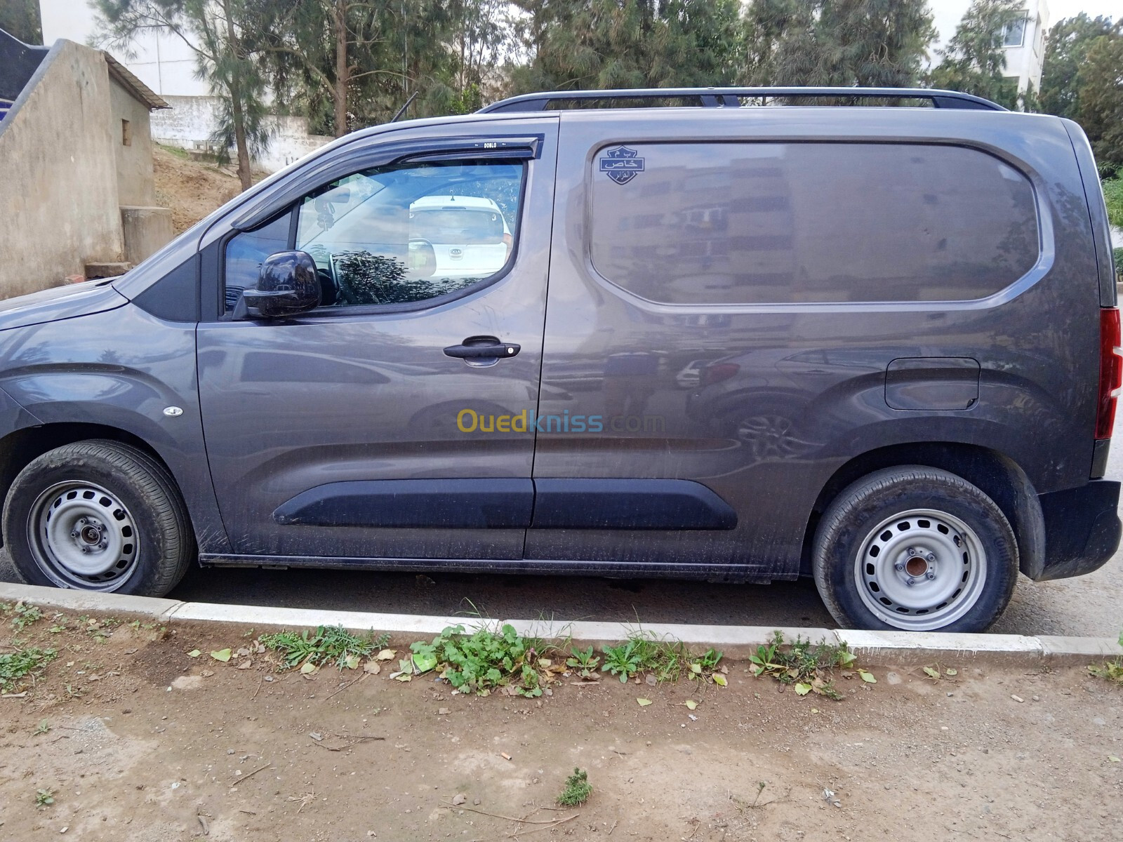 Fiat Doblo 2024 PROFESSIONAL