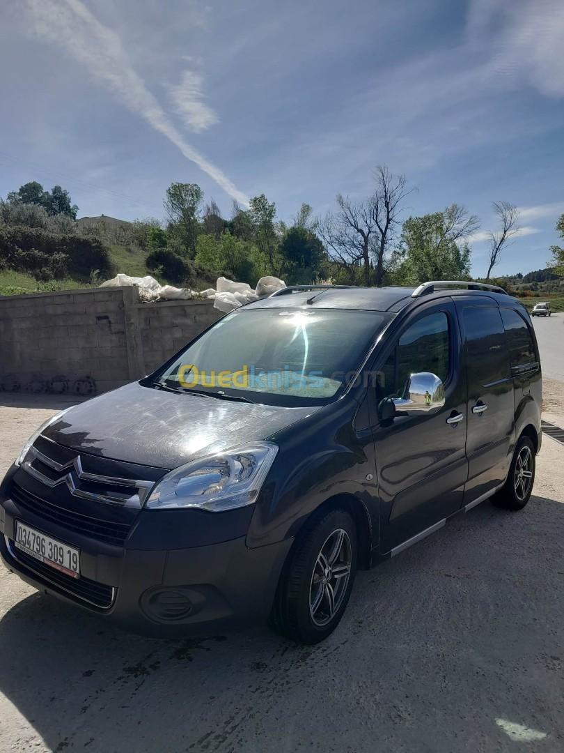 Citroen Berlingo 2009 Berlingo