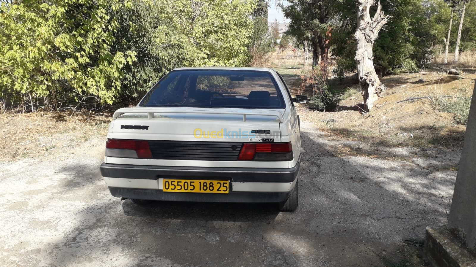 Peugeot 405 1988 405