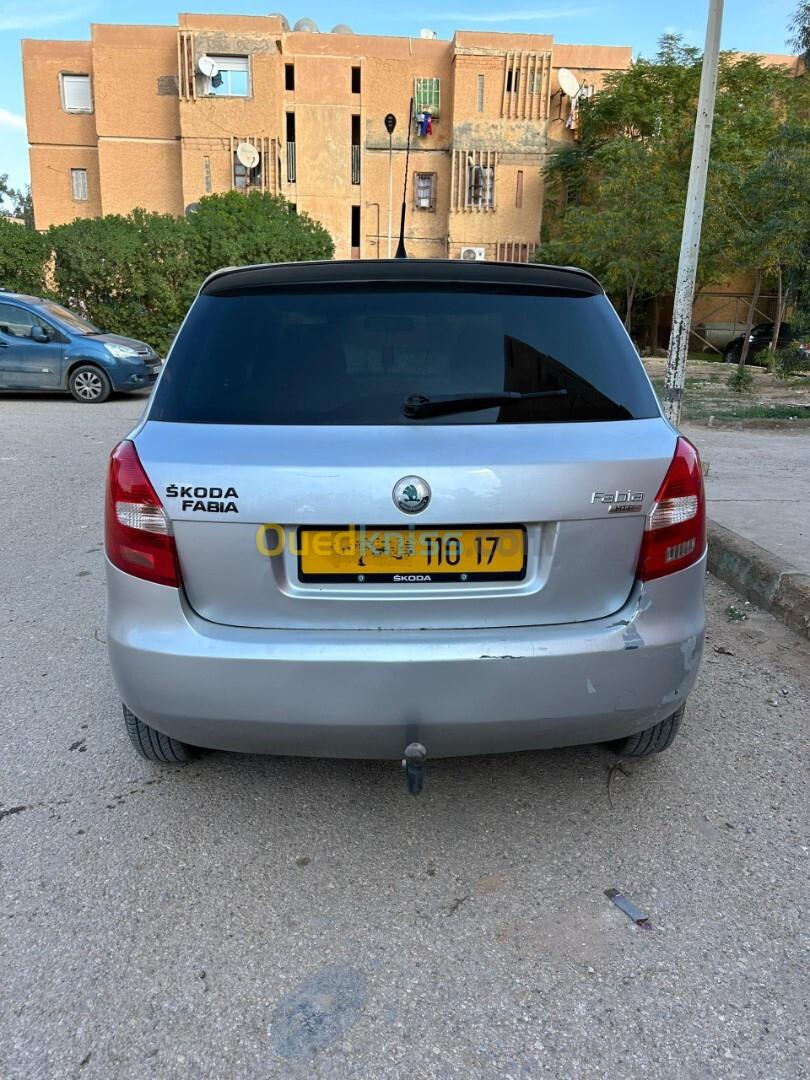 Skoda Fabia 2010 2