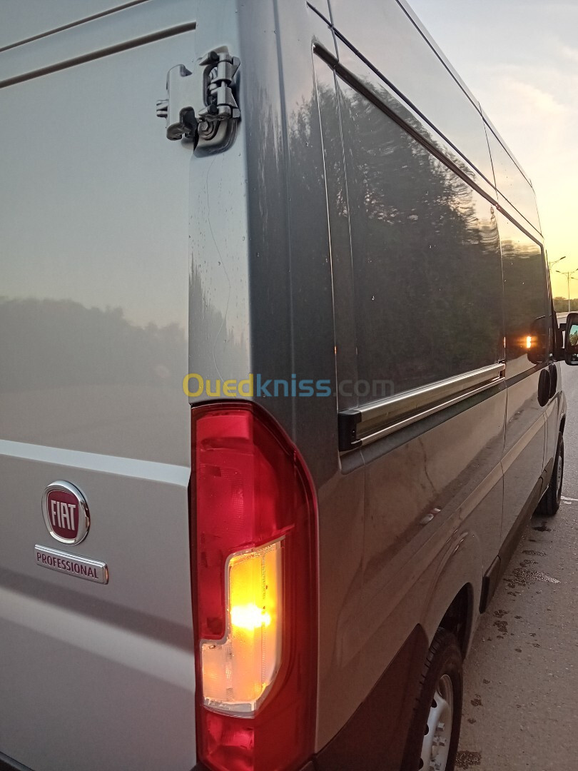 Fiat Ducato double lam 2024