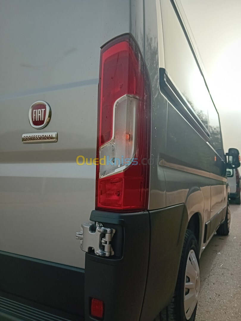 Fiat Ducato double lam 2024