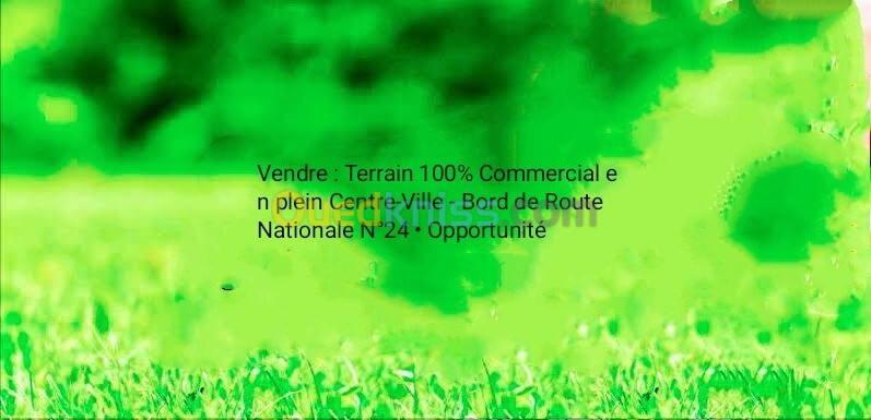 Vente Terrain Alger Bordj el bahri