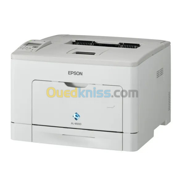 EPSON M300