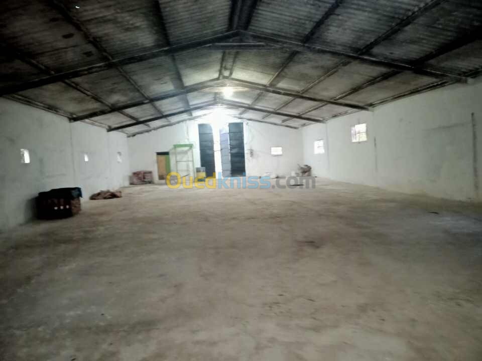 Location Hangar Relizane Belassel bouzegza