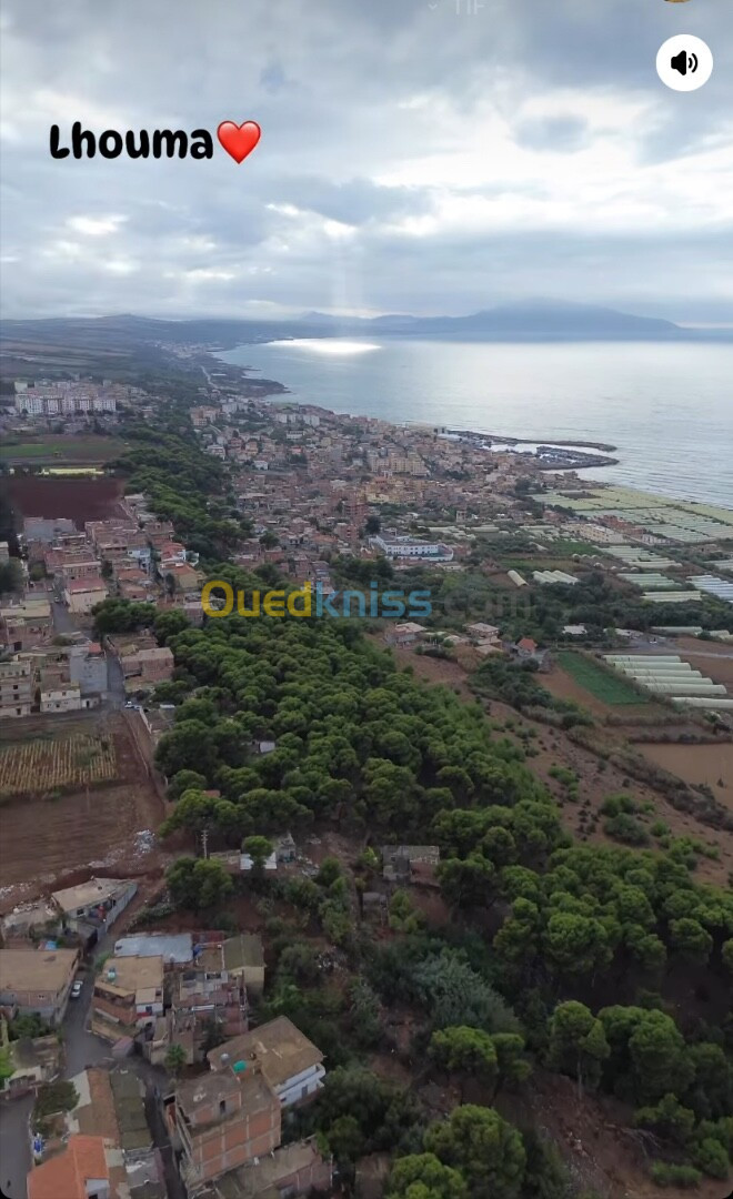 Vente Terrain Tipaza Khemisti