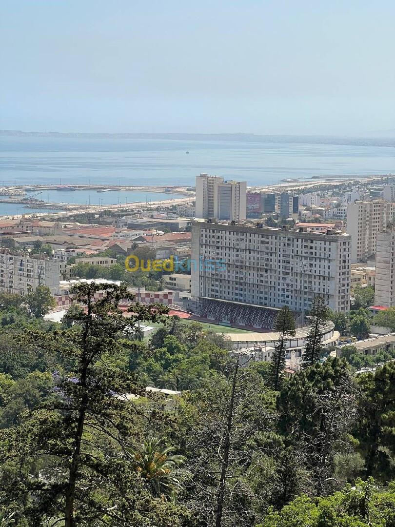 Vente Duplex F5 Alger Alger centre