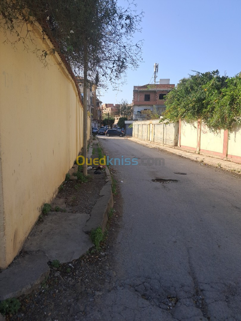 Vente Villa Alger Bordj el kiffan