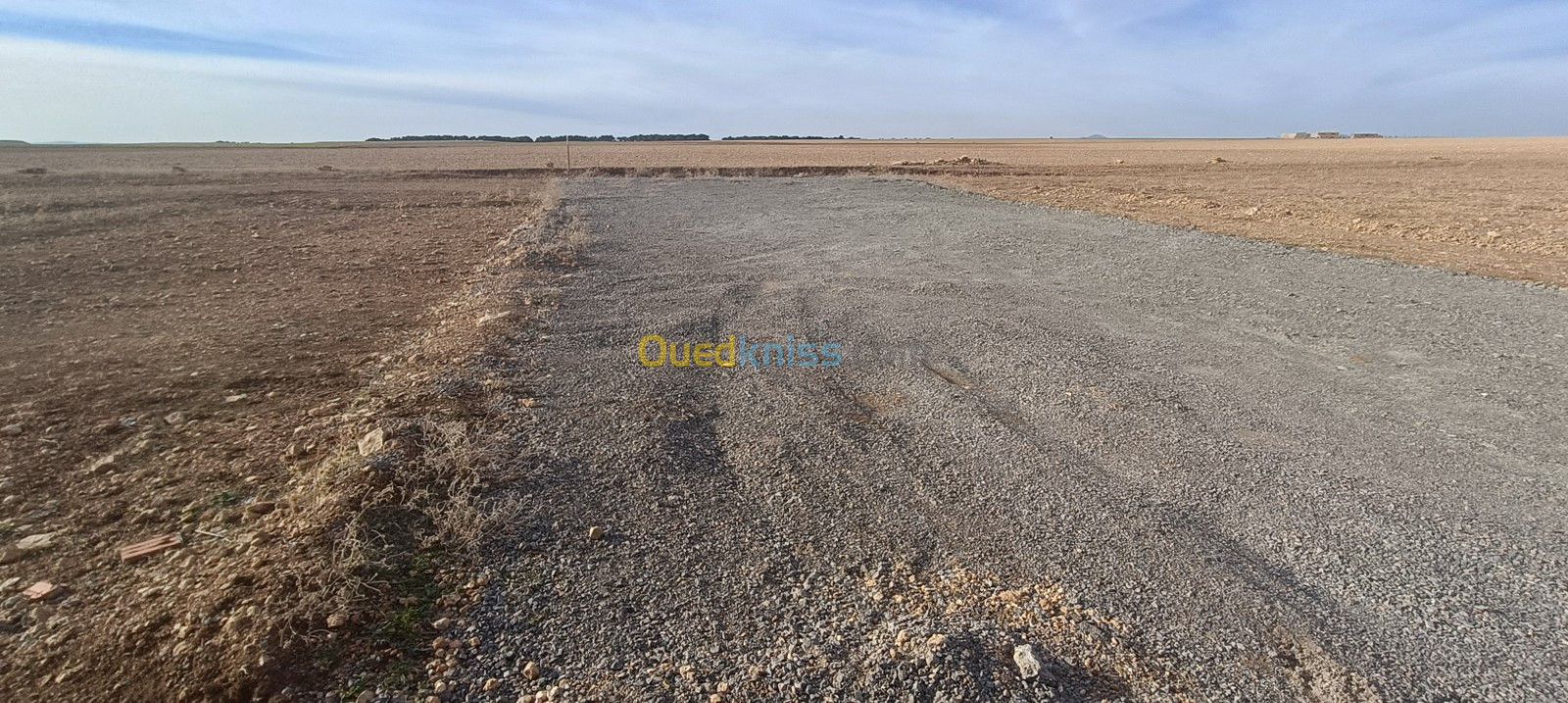 Vente Terrain Sétif Mezloug