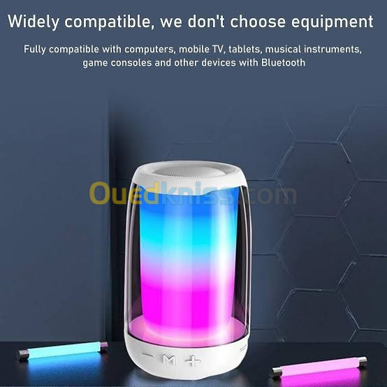 WIRELESS SPEAKER RGB LED (PLUS 4 MINI) . مكبر صوت بلوتوث مقاوم للماء بتصميم جميل