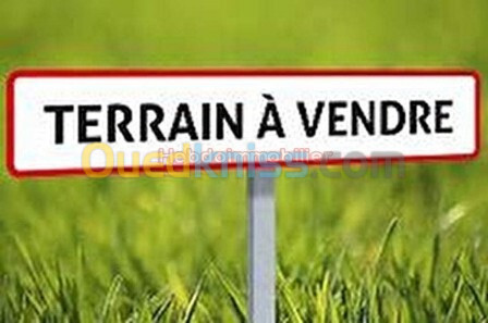 Vente Terrain Alger Bordj el kiffan