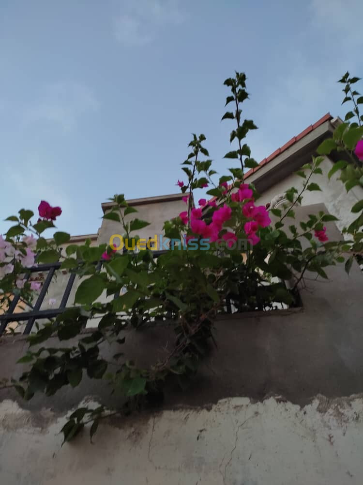 Vente Villa Alger Draria