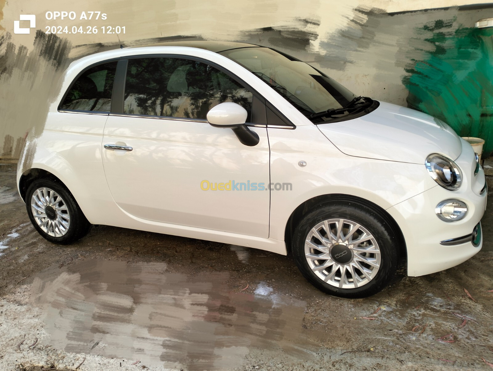 Fiat 500 2023 Club