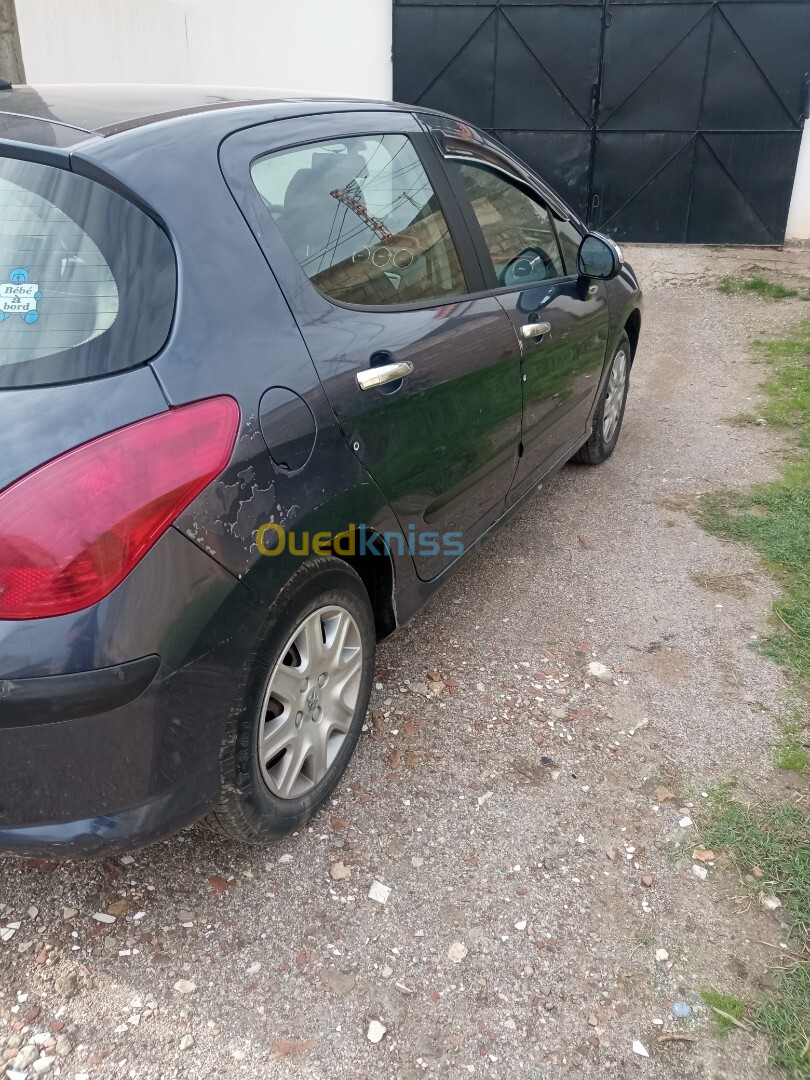 Peugeot 308 2008 Platinum 